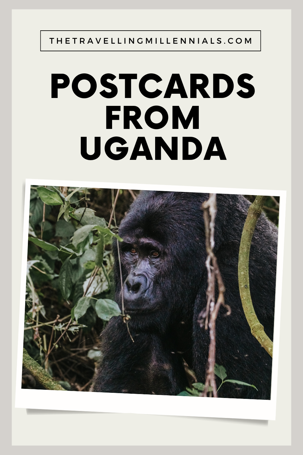 Postcards from Uganda - The Travelling Millennials