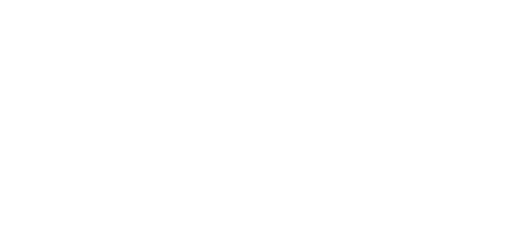 travellingmillennialslogo-02