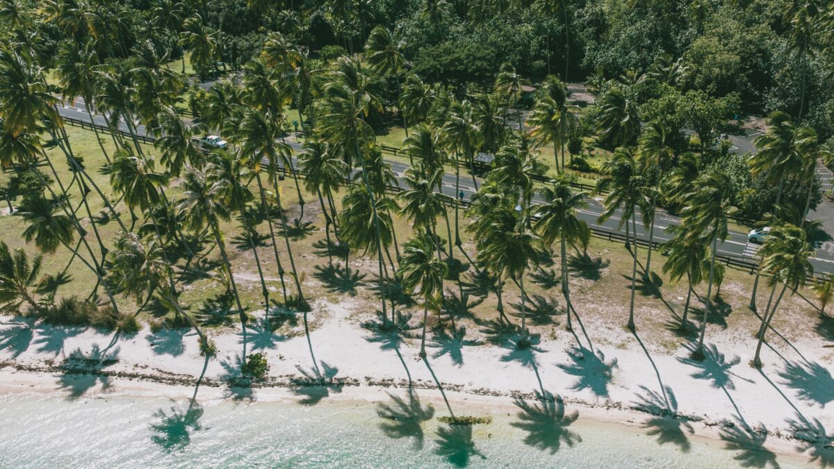 Moorea, French polynesia