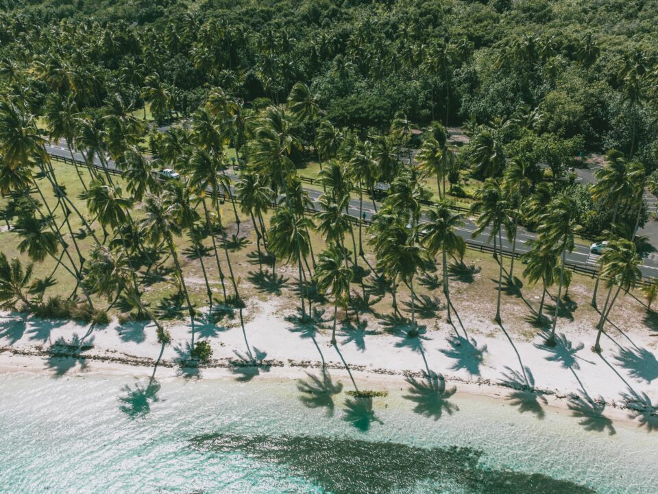 Moorea, French polynesia