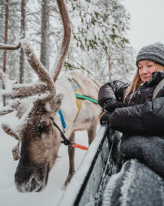 Day Among Reindeer - Visiting Reindeer Farm in Lapland