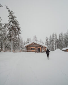 Day Among Reindeer - Visiting Reindeer Farm in Lapland