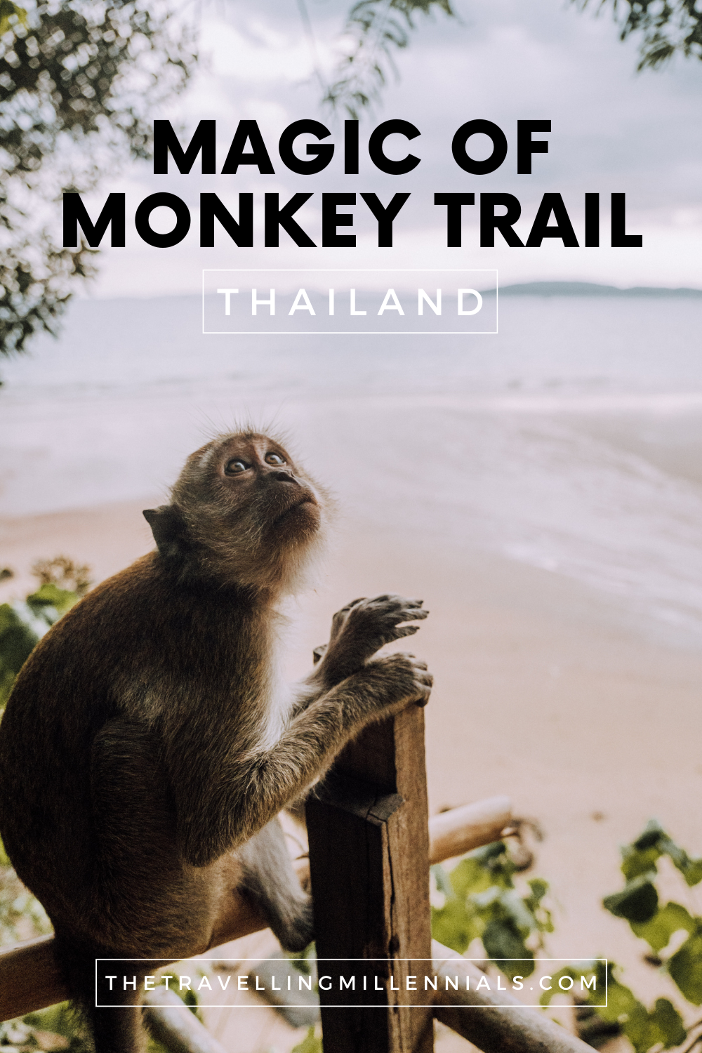 Magic of Monkey Trail, Ao Nang, Thailand