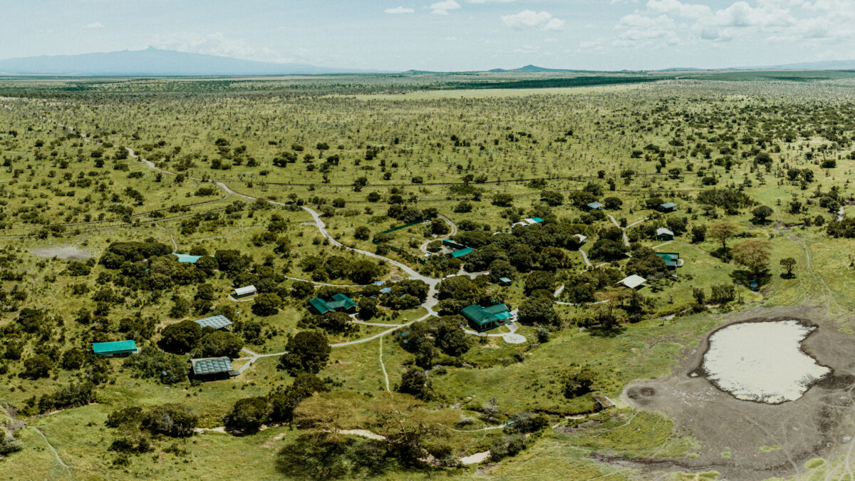 Porini Rhino Camp, Kenya