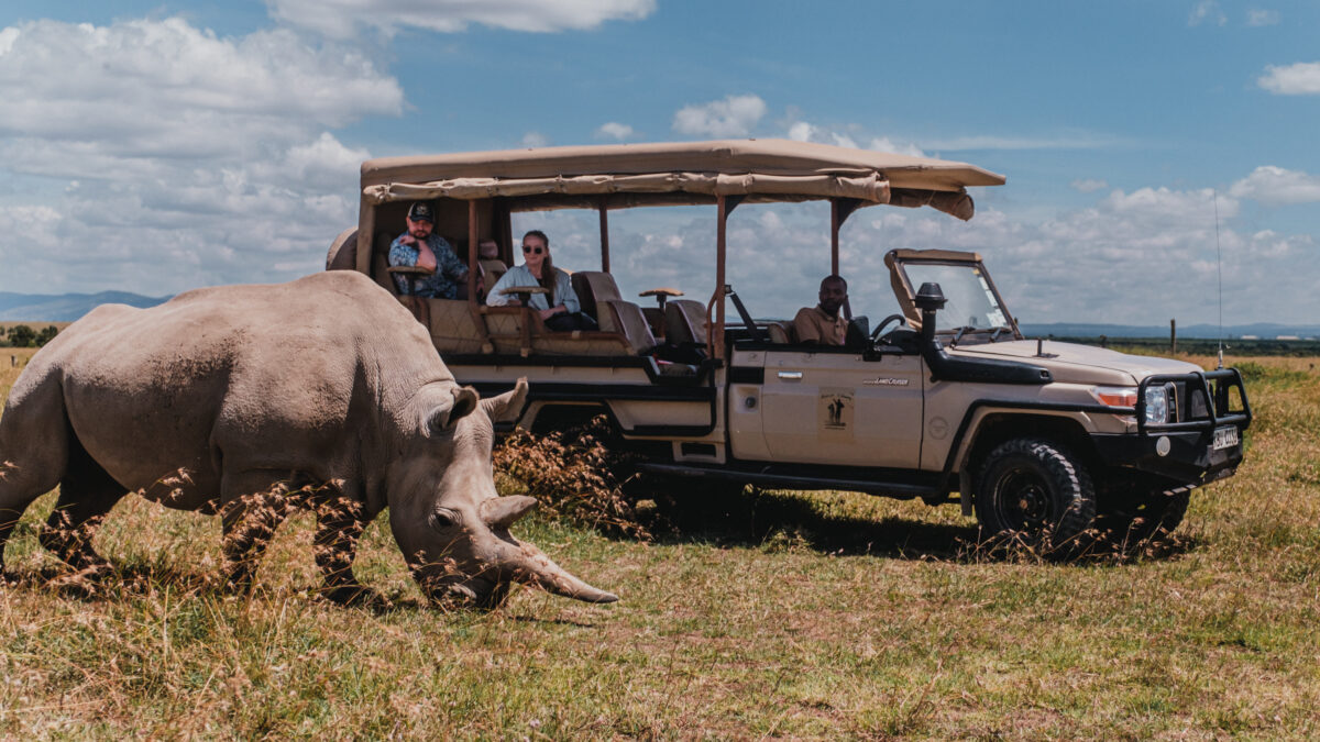 Porini Rhino Camp, Kenya