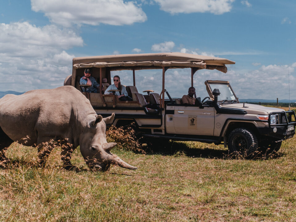 Porini Rhino Camp, Kenya