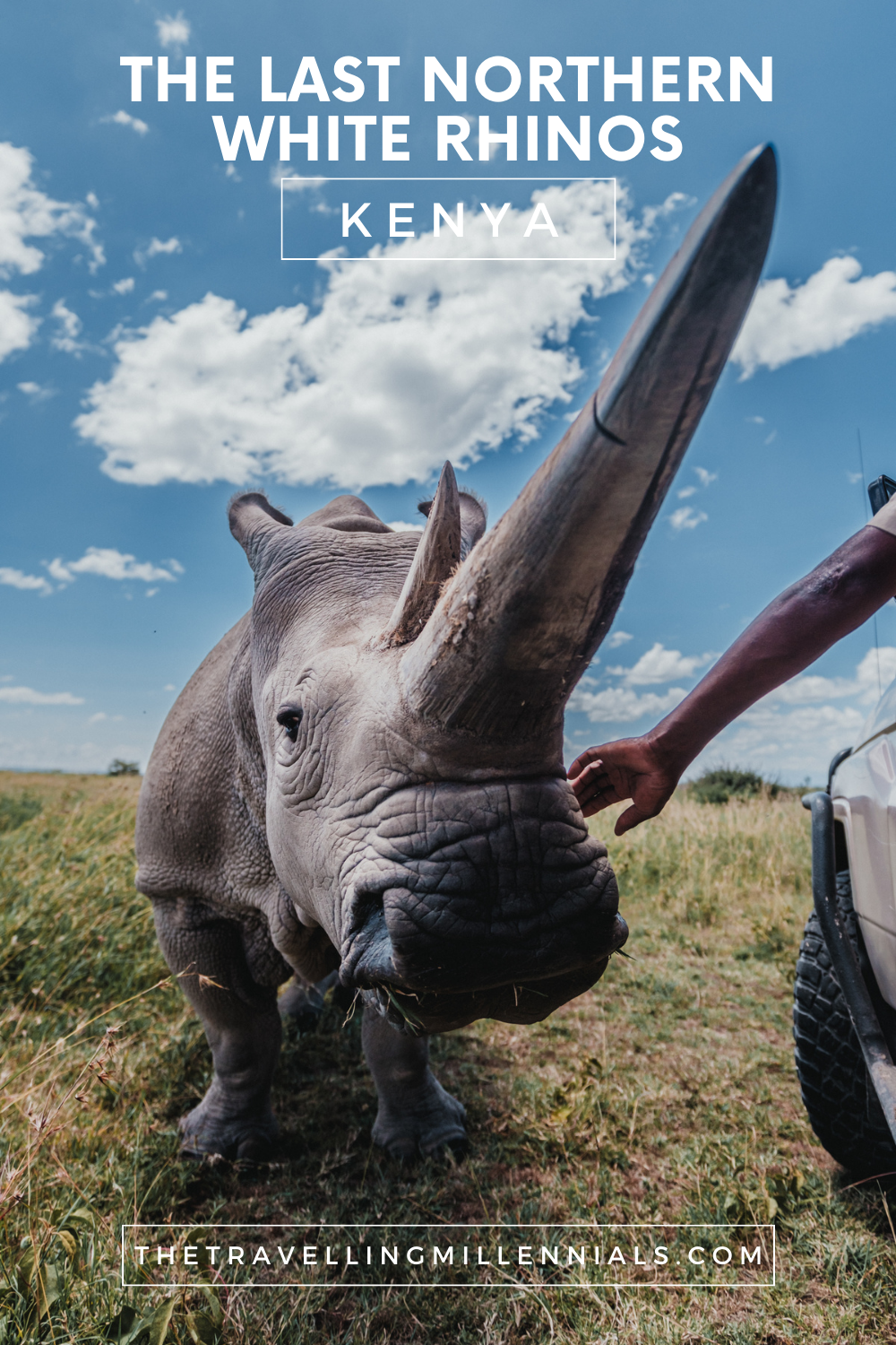 The Last Northern White Rhinos - Kenya